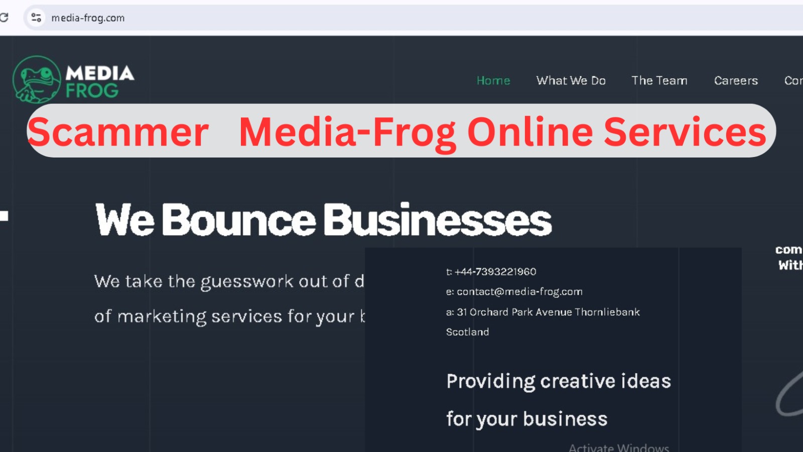 Media-Frog.com is a Scammer