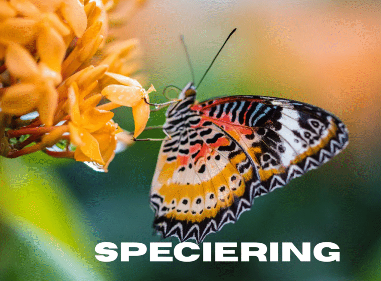 Speciering