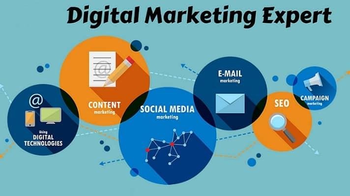 Why Choosing a Digital Marketing Specialist in Canada Can Transform Your Business with Ecomjets